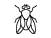 mouche.png